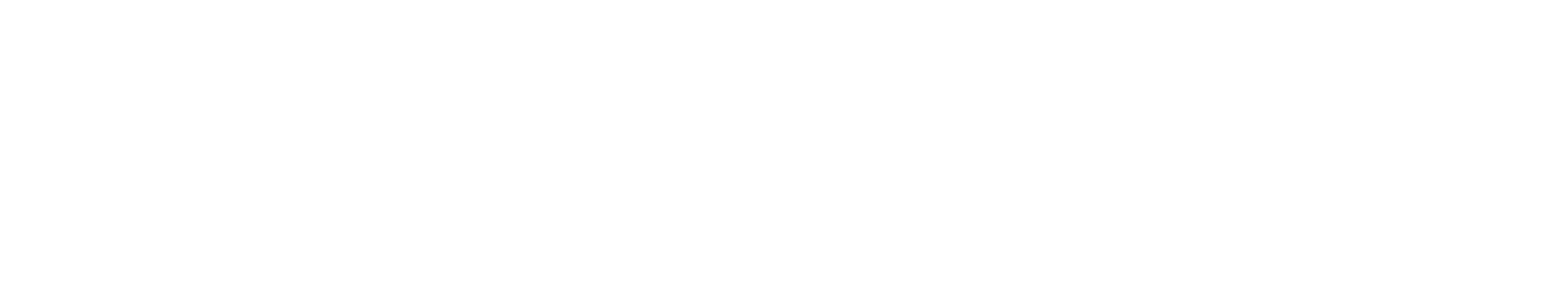 Inclusivity Index bianco