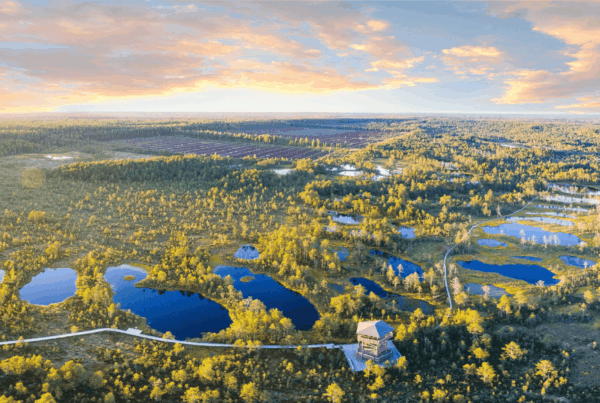 Baltic Air Connectivity Grows 6.4% as Wellness, Nature and Gastronomy Drive New Tourism Opportunities