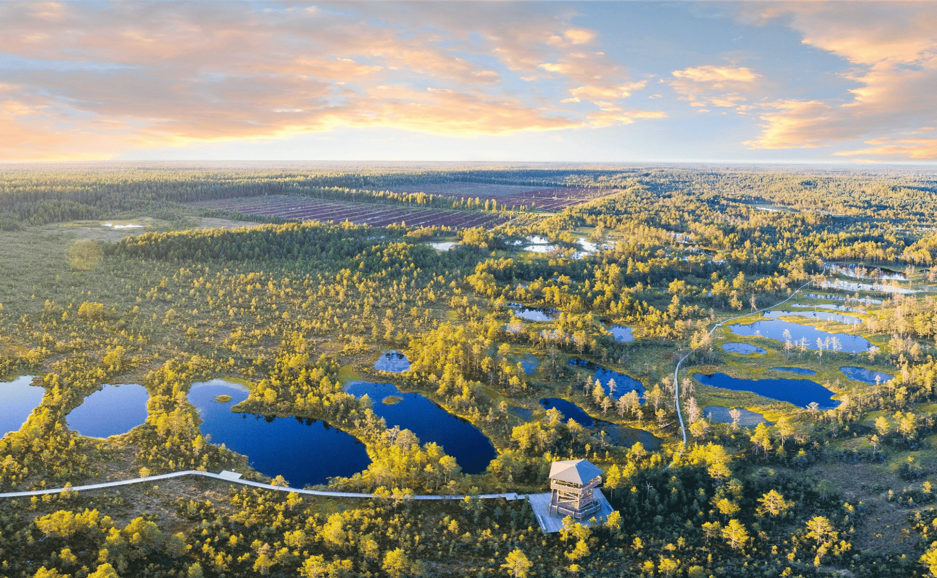 Baltic Air Connectivity Grows 6.4% as Wellness, Nature and Gastronomy Drive New Tourism Opportunities